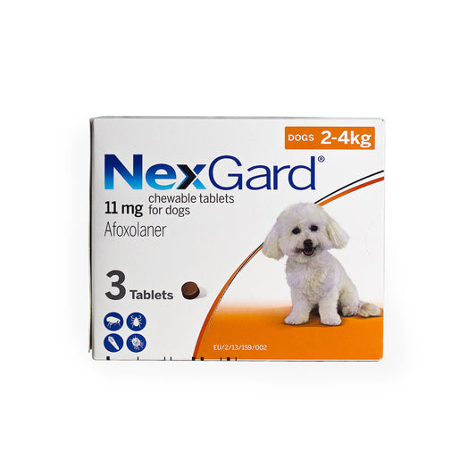 NEXGARD FLEAS & TICKS FLAV CHEW FOR SMALL DOG (2-4kg) (Orange)