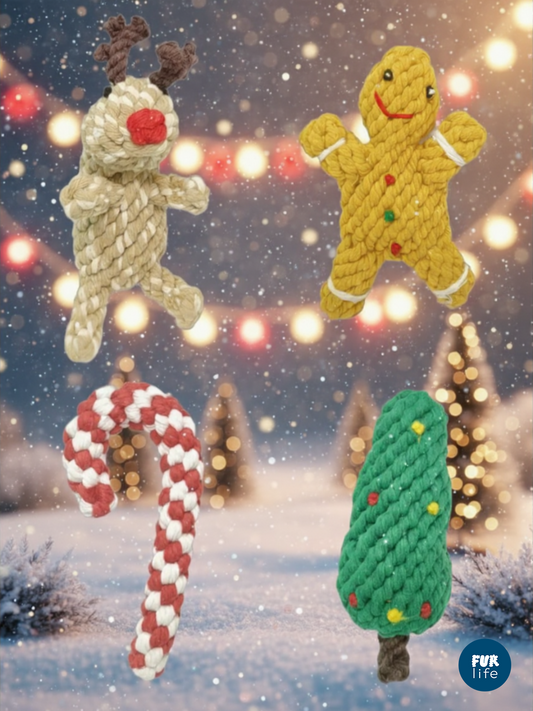 Limited Edition Christmas Rope Toy Gift Set for Dogs (U.P $48)